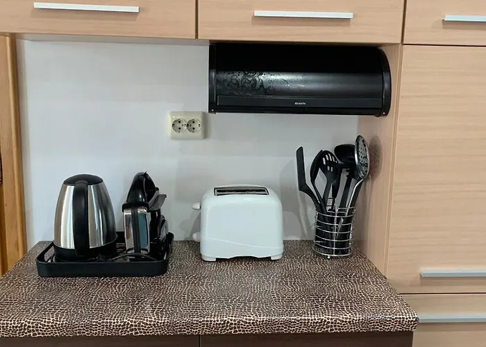 Asinela с гараж بورغاس